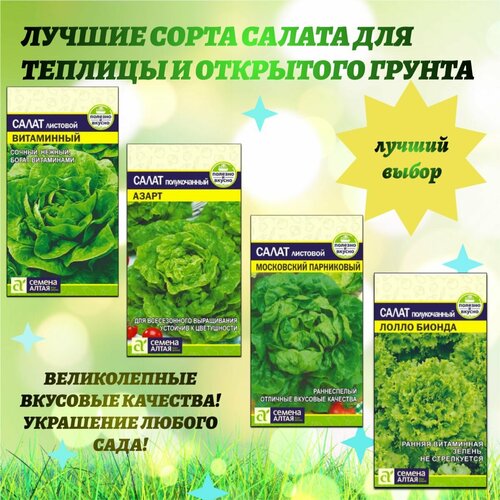 ������ ������ ������ ����� - ����� ��� ������ ����