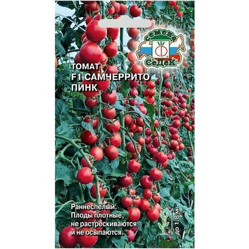 ������ ������ ����� ���������� ���� F1 (3 ��������), ������ ����