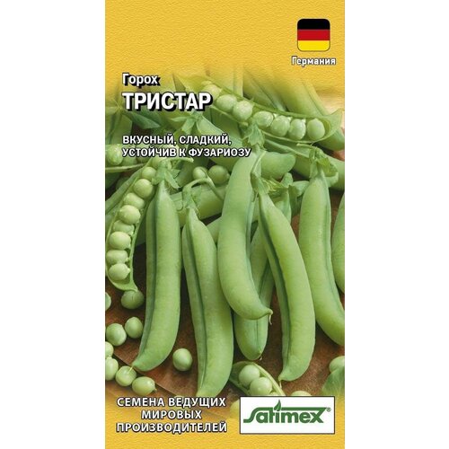 ������ ������ ������ ����� ������� ��������� 5� (������) ����