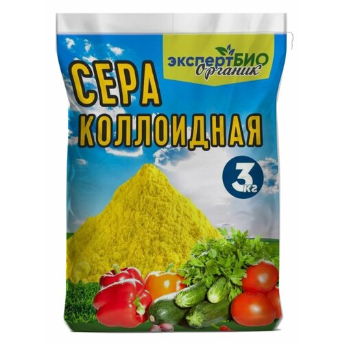 ������ ������ ���� ���������� ��� �������� �� ���������� ��������� ��� �������� ������� � ���� ����