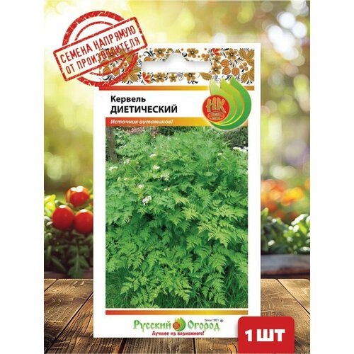 ������ ������ ������ ������� ����������� ����