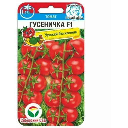 ������ ������ ������ ������� ����� ��������� (1 �������� -15 �� �����) ����