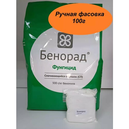 ������ ������ ������� 100� ����