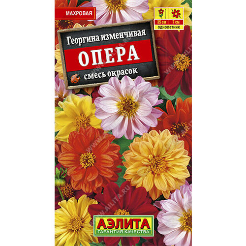 ������ ������ �������� 