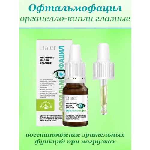 ������ ������ ����� ������� ������������� ��� ��������������, 10 �� ����