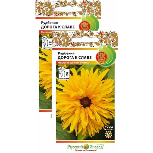 ������ ������ �������� ������ � ����� (30 �����), 2 ������ ����