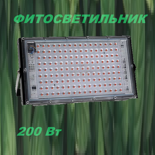 ������ ������ ��������� 200 �� ��� ����������� �������� ����