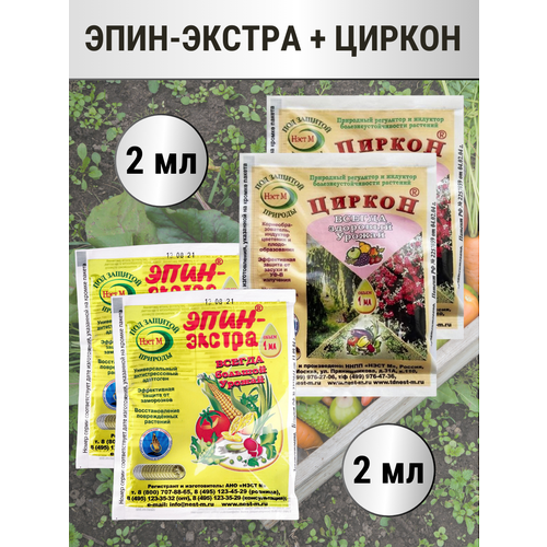 ������ ������ ����-������ 1 �� + ������ � ������������� 1 ��, �������� 2+2 ����