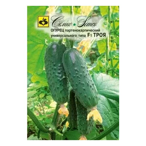 ������ ������ ������ ���� F1, ������ ����� 10�� ����