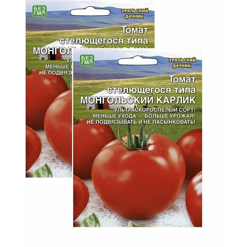 ������ ������ ������ ����� ����������� ������ 2 �������� * 20��(�����) ��������� ������ ����