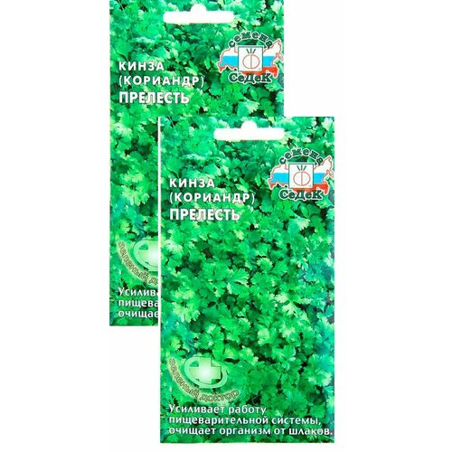 ������ ������ ������ �������� (�����) �������� 2 � (�����) , 2 �������� * 2 � ����