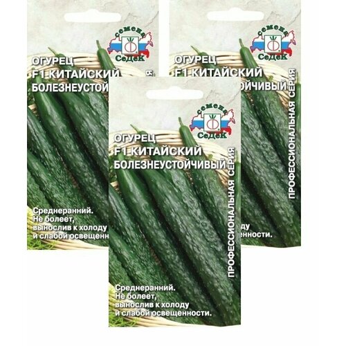 ������ ������ �����. ������ ������ ��������� ����������������� F1 0,2 � (�����) , 3 �������� * 0,2 � ����