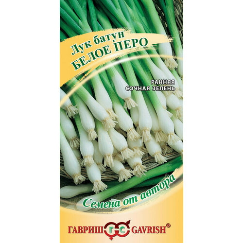 ������ ������ ������ ��� ����� ����� ����, 0,5�, ������, ������ �� ������, 10 �������� ����