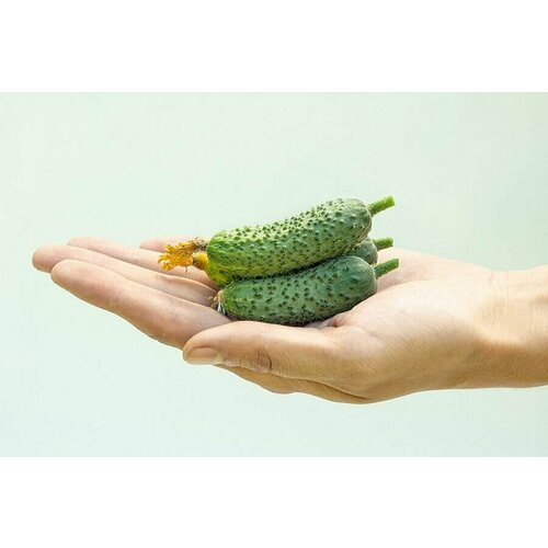 ������ ������ ������������� ������ ������ F1 ������� ����