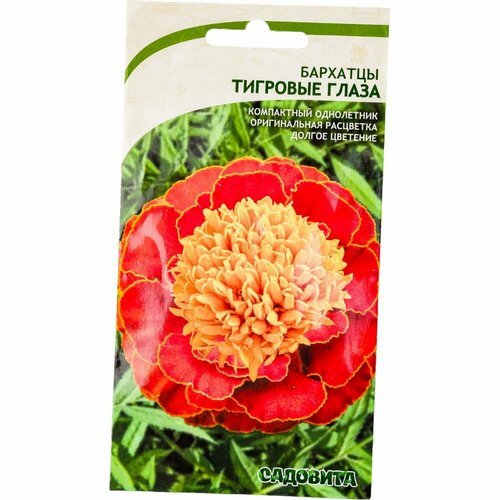 ������ ������ �������� ������ �������� �������� ����� ����