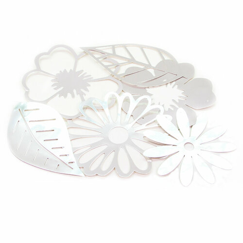 ������ ������ �������� ����� � ������, �������, ��������, 250 ��, 1 ����. ����