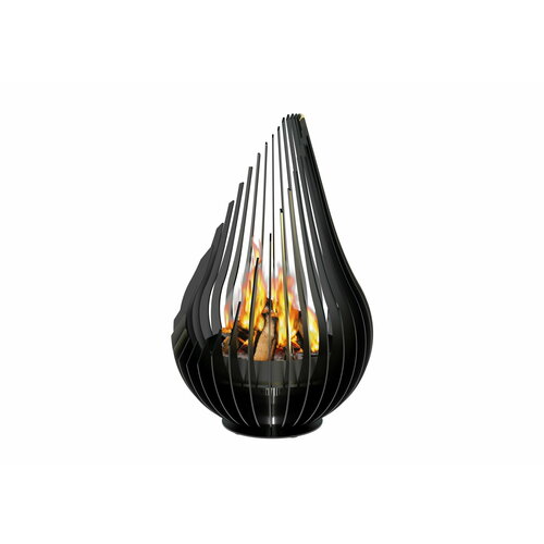 ������ ������ ������������ ����, ���� ��� ������ ����