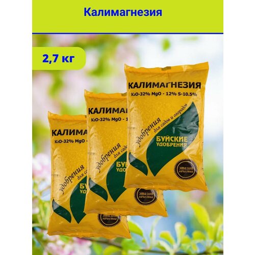 ������ ������ ��������� 