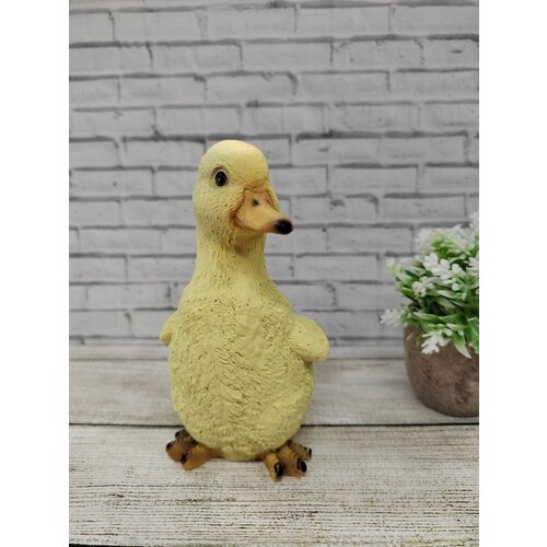 ������ ������ ������� ������������ 