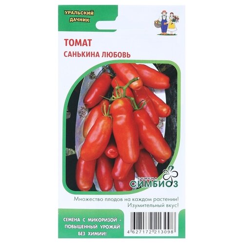 ������ ������ ������ ��������� ������ ����� �������� ������, 12 ��. ����