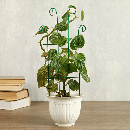 ������ ������ �������, 40 � 18 � 0.3 ��, ������, 