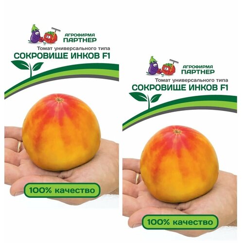 ������ ������ ������ ����� ��������� ����� F1 /��������� �������/ 2 �������� �� 10 ����� ����