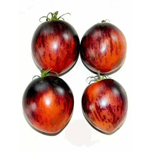 ������ ������ ������������� ������ ������ ���� ��������� ����� ����