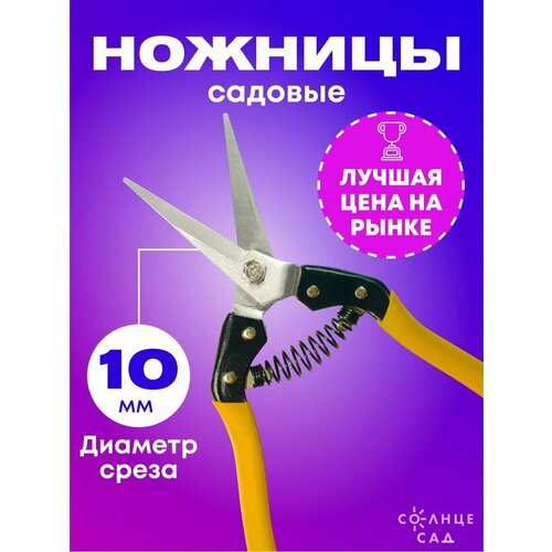 ������ ������ ������� 