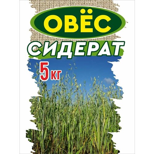 ������ ������ ���� ��� ����������� �����, ������ 5 ��. ����