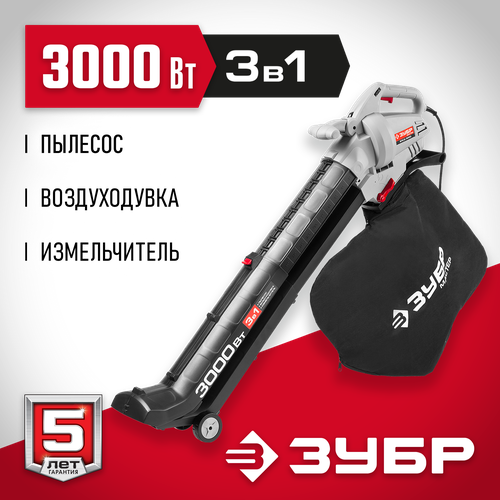 ������ ������ ������� ������� ���� ����-3000, ����� ����