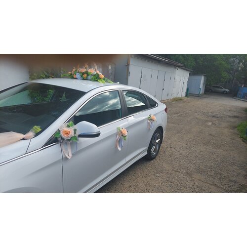 ������ ������ ����� �� ����� � ������� (�� ������ 