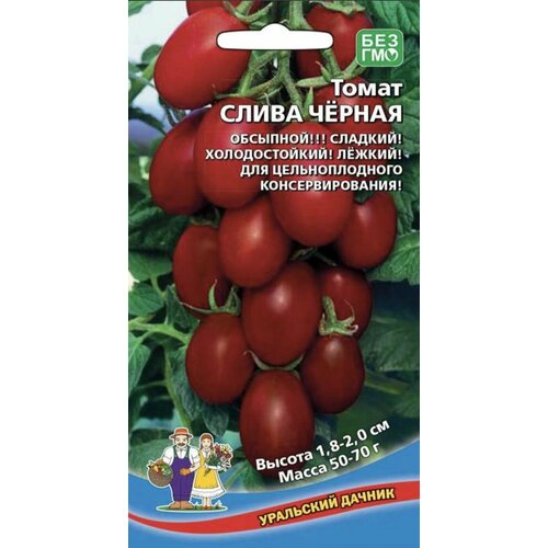 ������ ������ ����� ����� ������, 1 �����, ������ 20 ��, ��������� ������ ����