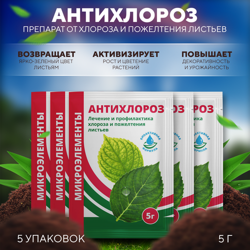 ������ ������ �������� �� ������� � ���������� ������� ����������, ��������� 5 � 5 �� ����