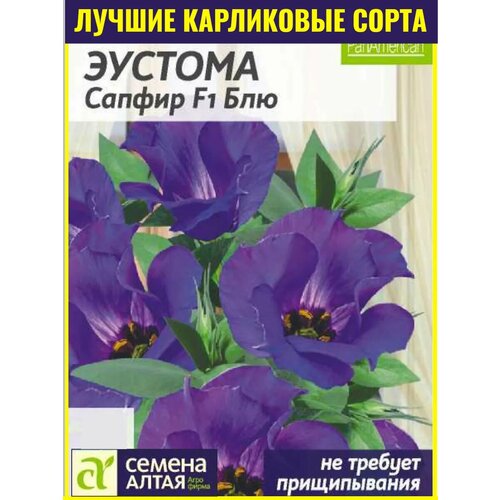 ������ ������ ������ ������� ����������� ������ F1 ��� - 5 ��. ����������� ���� �������� PanAmerican Seed � ������������� �������� ����