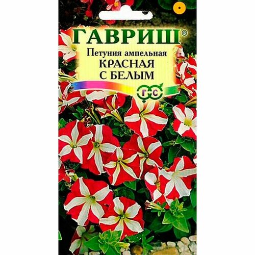 ������ ������ ������ ������� ������� � ����� ��������� 7�� ��� 80�� (������) ����