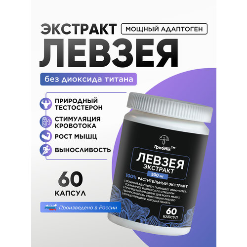 ������ ������ �������� ������ ������� ������ ��������� 60�� 500 �� ����