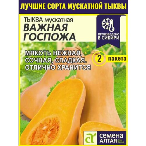 ������ ������ ������ ����� ������ ������� ����