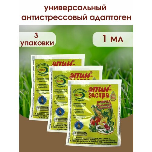 ������ ������ ����- ������ ��������� ����� � �������� ��������, ��������� ������������ ���� �. 1 ������ 1 ��. 3 �������� ����