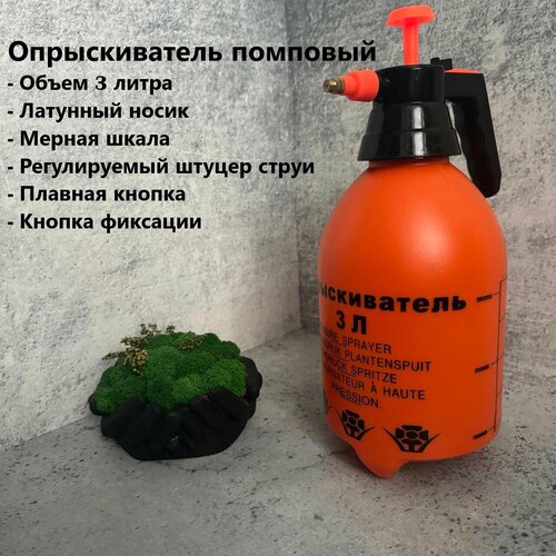 ������ ������ ������������� �������� 3� /����������� ��� ���� � ��������� ��������/������������� ��� �������� ����