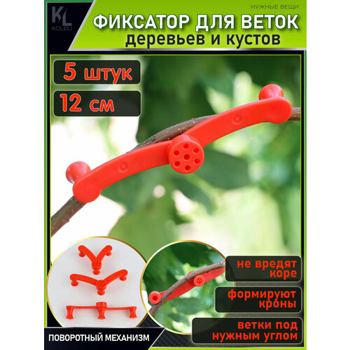 ������ ������ KoLeli / ���������� ��������� ��� ����� / �������� ��� ��������, ������������� ����� � ������, �������, 5 �� ����
