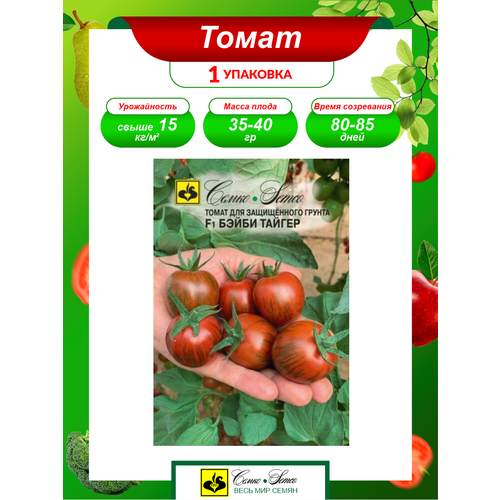 ������ ������ ������ ����� ����� ������ F1 ����������� 5 ��./��. ����