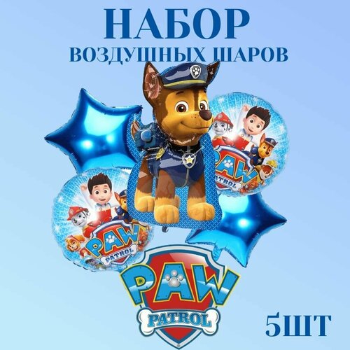 ������ ������ ��������� ���� ����� ������� �������, 5�� ����