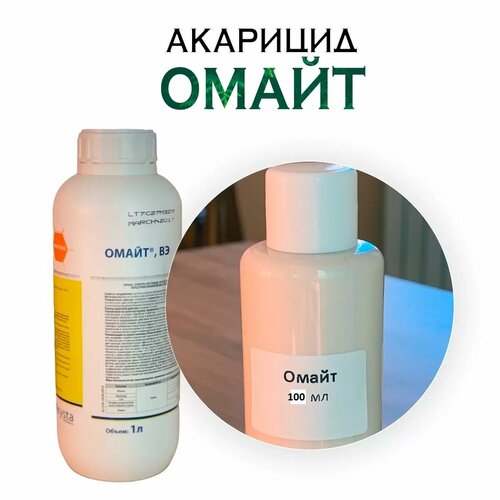 ������ ������ ����� �� ������ 100�� (������ �������) ����