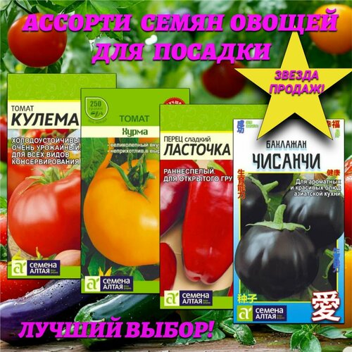 ������ ������ ������� ����� ������: �����, �����, ��������. ������ ����� ����