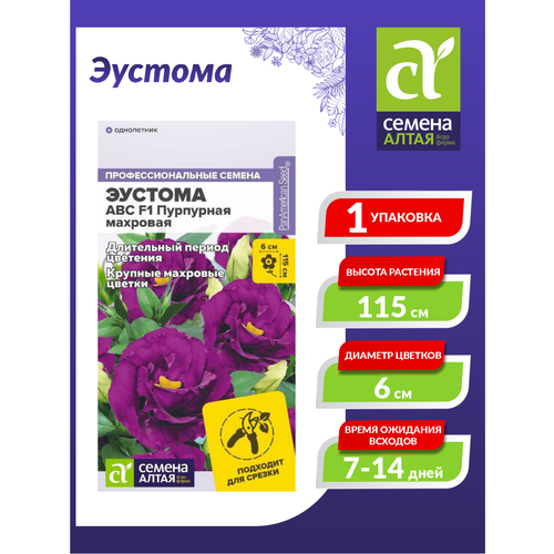 ������ ������ ������ ������� ABC ��������� �������� 5 ��./��. ����