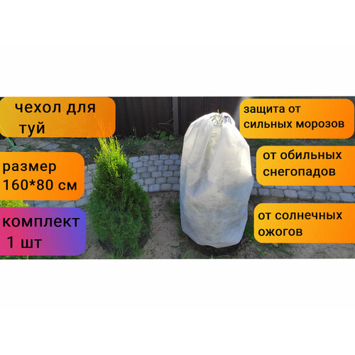 ������ ������ ������ ����� ��� ������ � �������� � ��������/��� ���/��� ���/��� ��������������/��� ��������� ������ 160*80 ��, 1 ��. ����