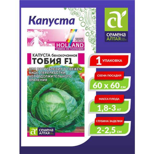 ������ ������ ������ ������� ������������ ����� F1 ������������ 15 ��./��. ����