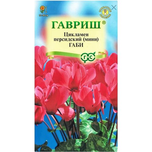 ������ ������ �������� ���� ����������, 1 �����, ������ 3 ��, ������ ����