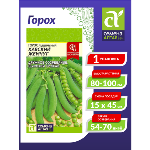 ������ ������ ������ ����� ������� ������ ������������ 10 ��. ����