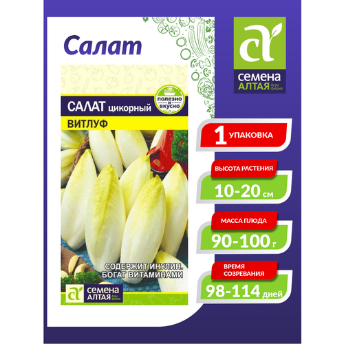 ������ ������ ������ ����� ������� ������ �������� ������������ 0,5 ��. ����